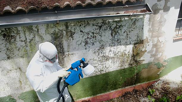 Top rated local Mold Inspection And Testing specialists in Waterford, VA